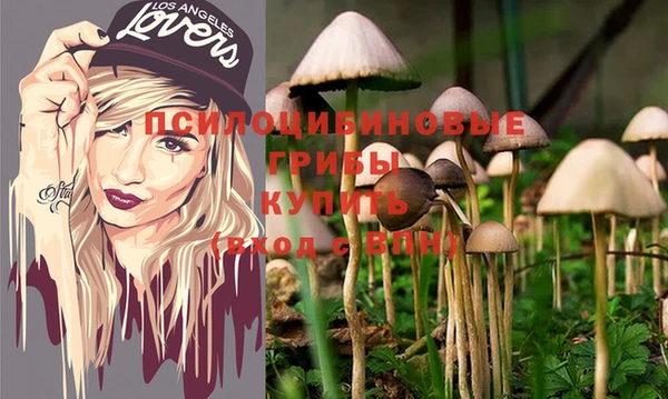 эйфоретик Вязьма