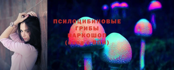 дмт Вяземский