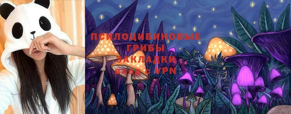 дмт Вяземский