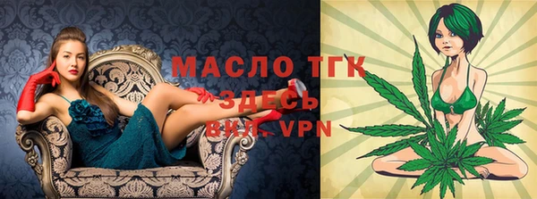 дмт Вяземский